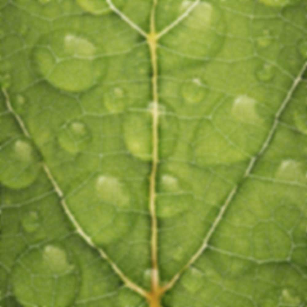 shutterstock_349338242