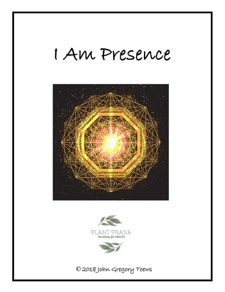Previous Class: The I AM Presence
