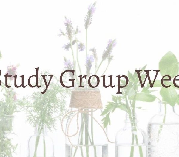Previous Class: Free Study Group Weekend