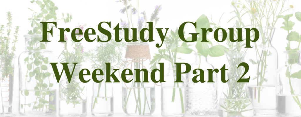 Previous Class: Study Group Weekend Part 2