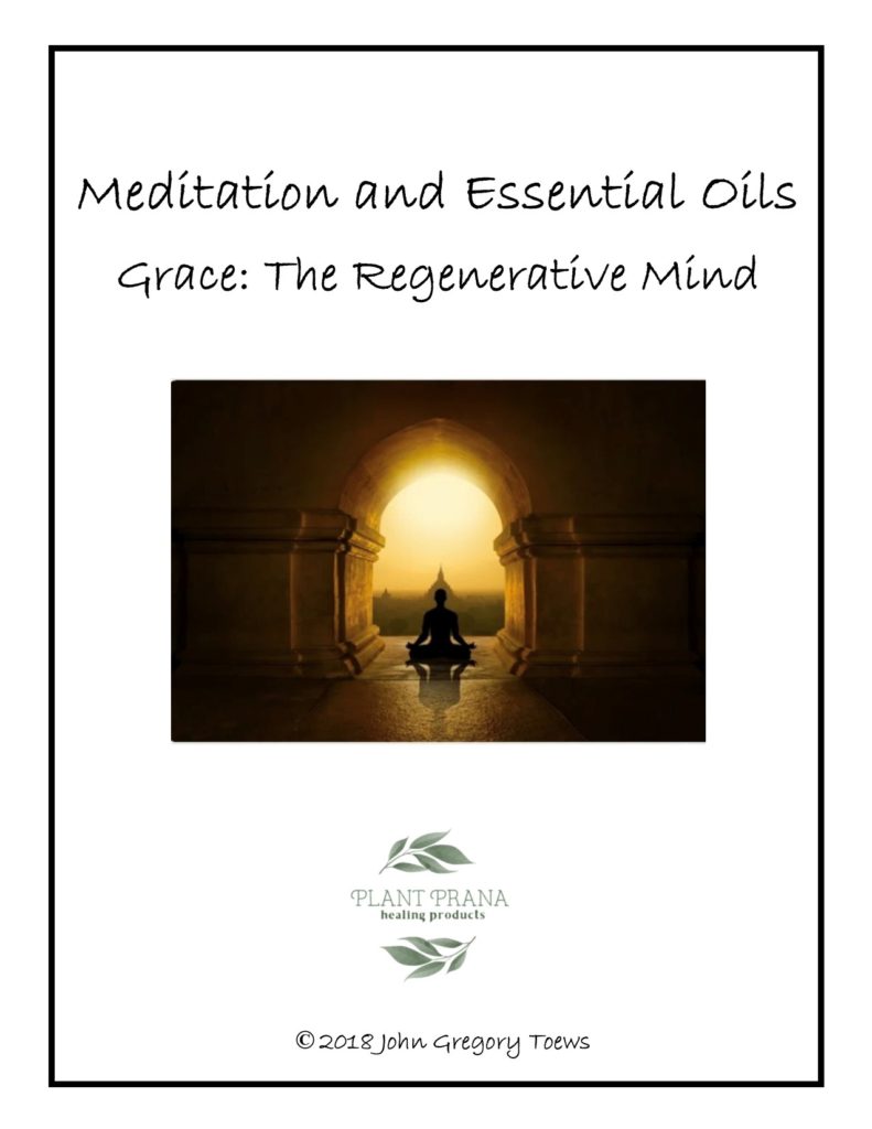 Previous Class: Revitalizing the Soul