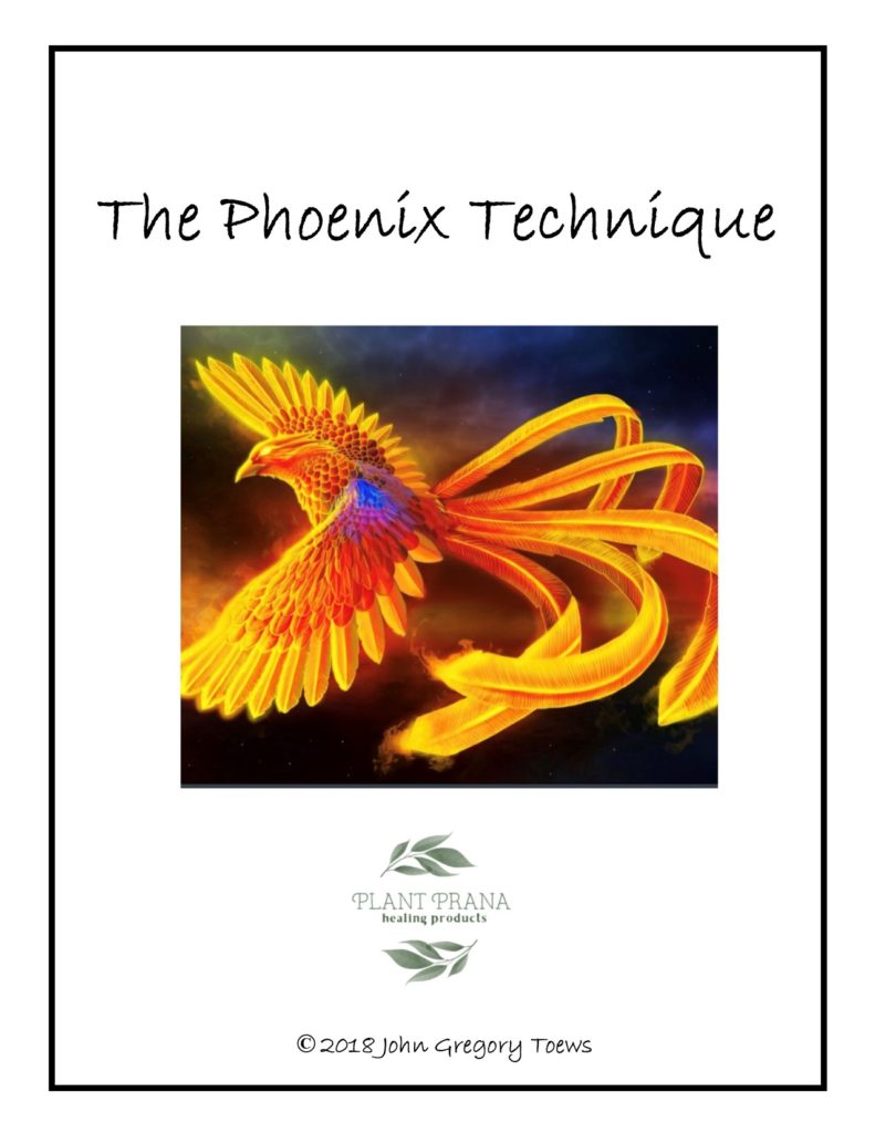 The Phoenix Technique