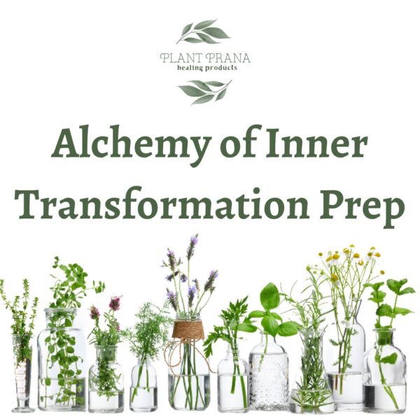 Alchemy of Inner Transformation Prep