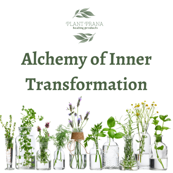 Alchemy of Inner Transformation