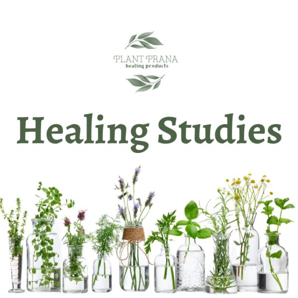 Healing Studies