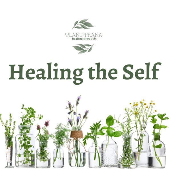 Healing the Self