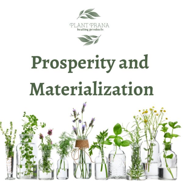 Prosperity and Materialization