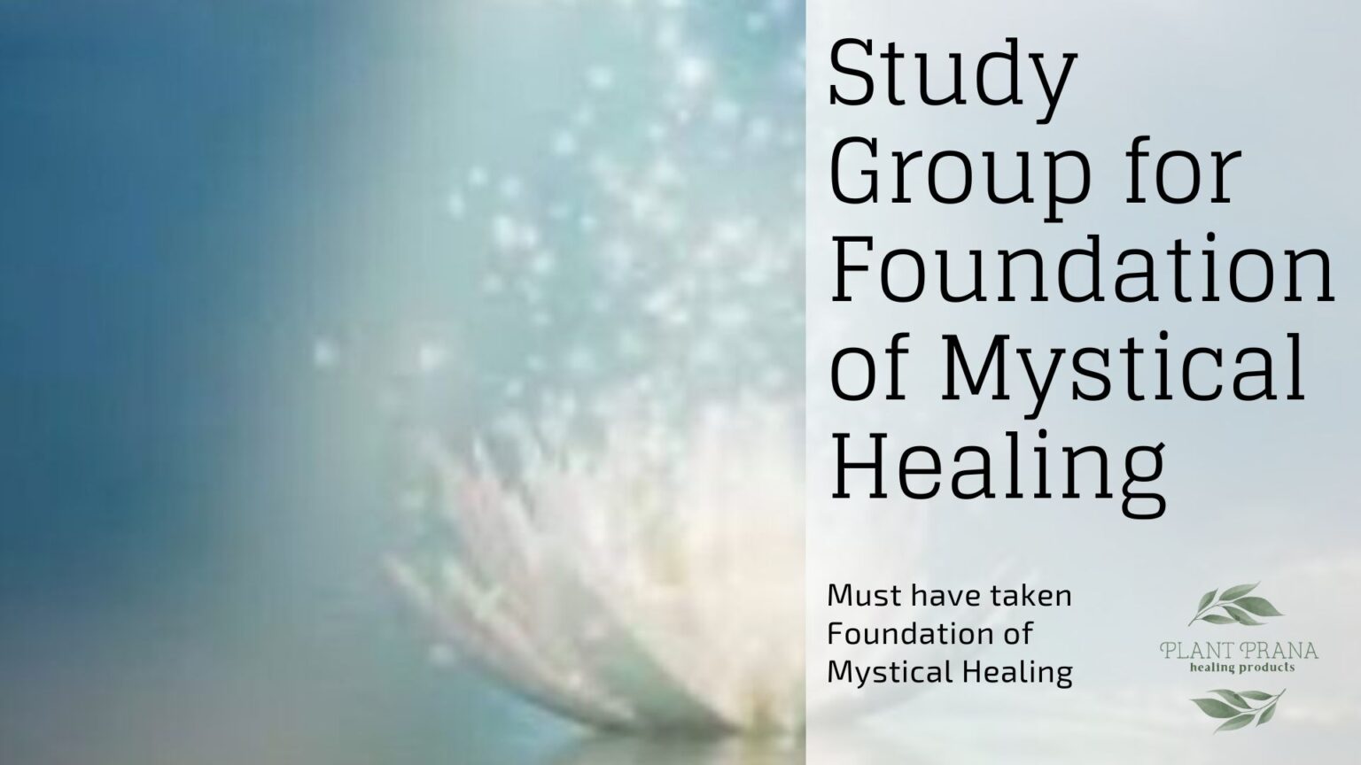 Study Group Foundation of Mystical Healing Plant Prana Essential Oils