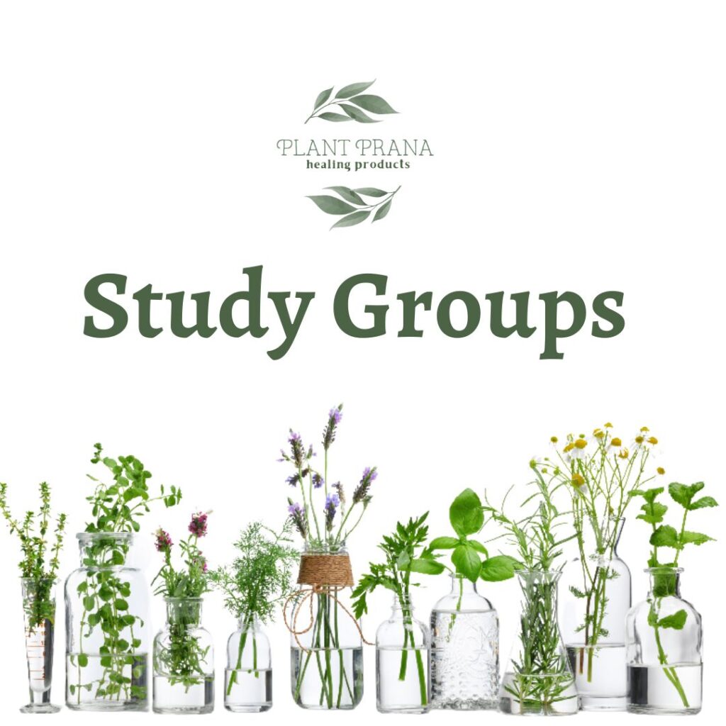 Previous Class: Study Group Respiratory and Endocrine