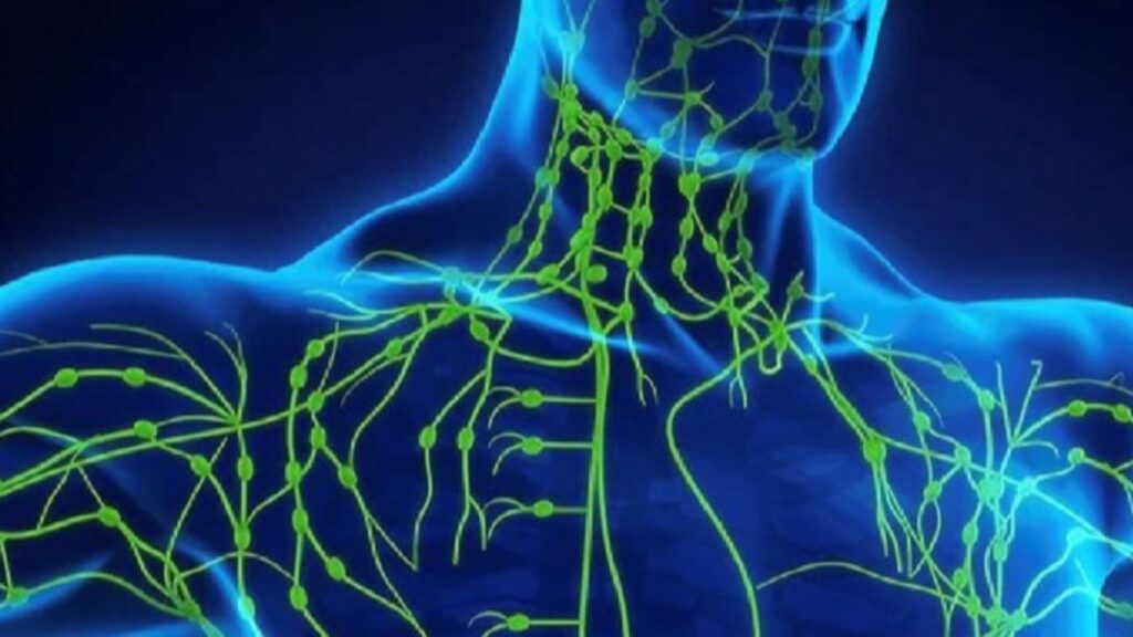Previous Class: Lymphatic Technique Module 1