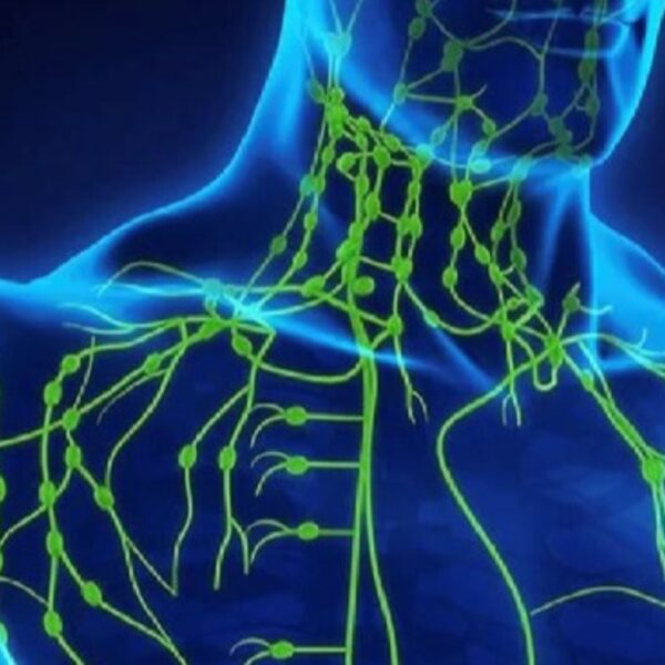 Previous Class: Lymphatic Technique Module 1
