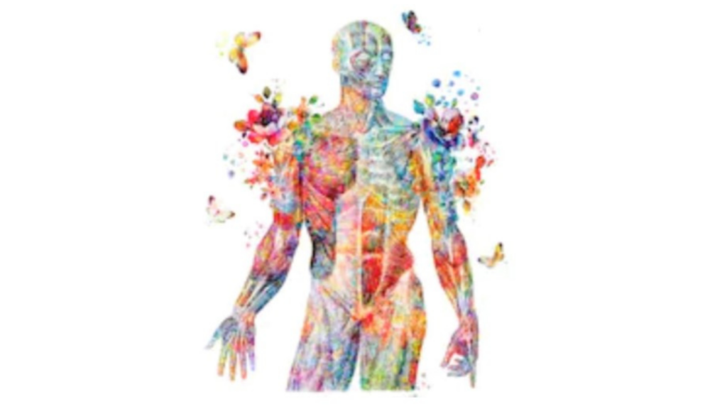 Previous Class: Lymphatic Technique Module 3