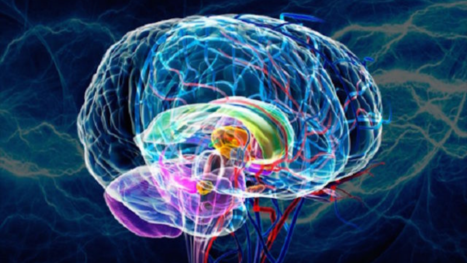 Lymphatic Technique Module 6: Brain Fog + Protecting the Brain - Plant ...
