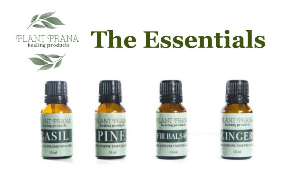 Previous Class: The Essentials