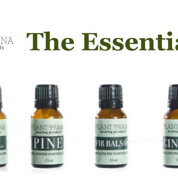 Previous Class: The Essentials