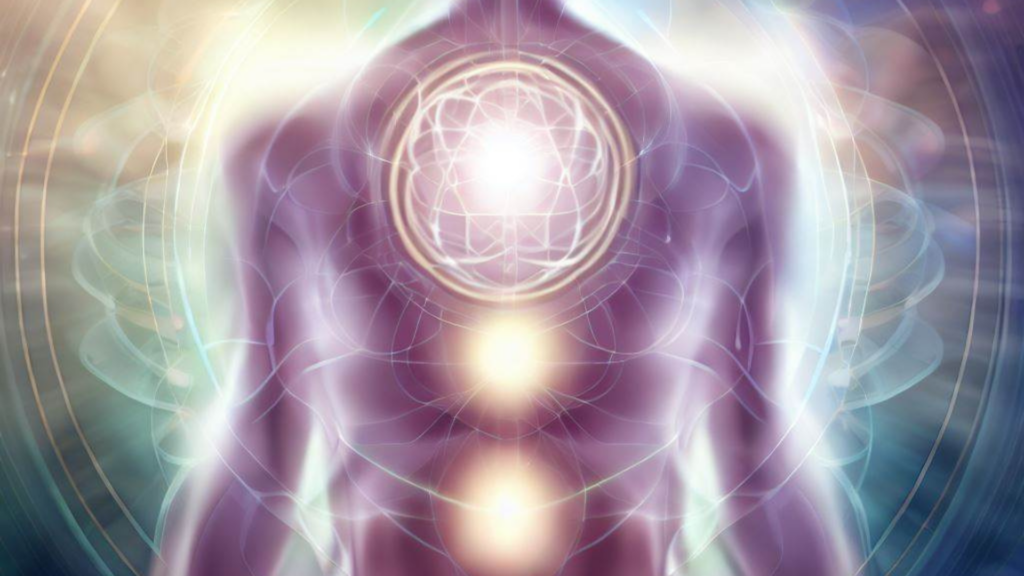 Previous Class Body Mapping and the Three Brains Plant Prana