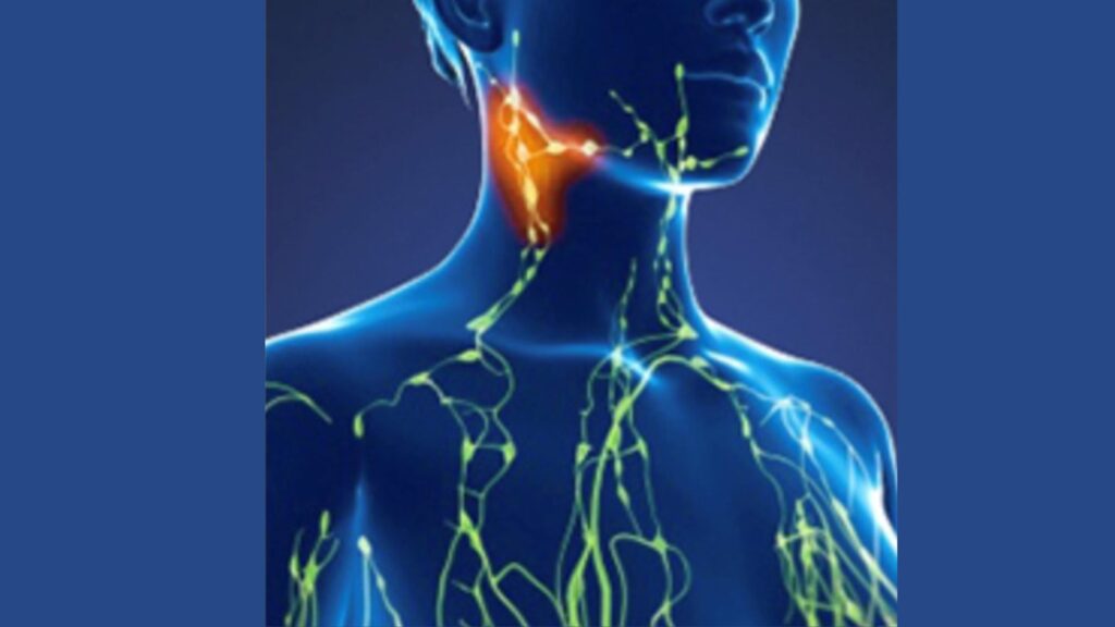 Previous Class: Lymphatic Technique Module 7: The Neck and Lymphatic Function