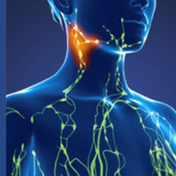 Previous Class: Lymphatic Technique Module 7: The Neck and Lymphatic Function
