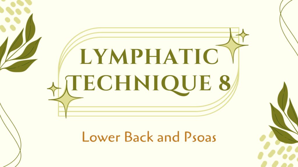 Previous Class: Lymphatic Technique Module 8: The Psoas and the Low Back