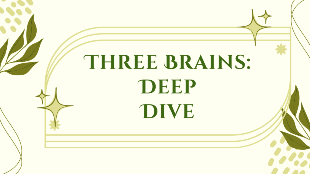 Previous Class: Three Brains: Deep Dive