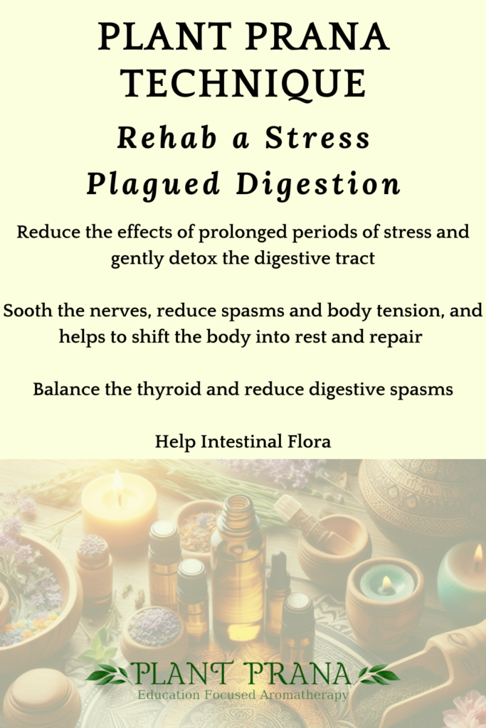 Rehabilitation of a Stress Plagued Digestion or Digestive System