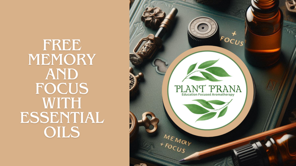 Previous Class: Memory and Focus
