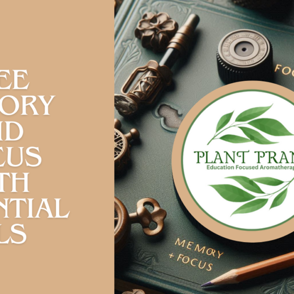 Previous Class: Memory and Focus