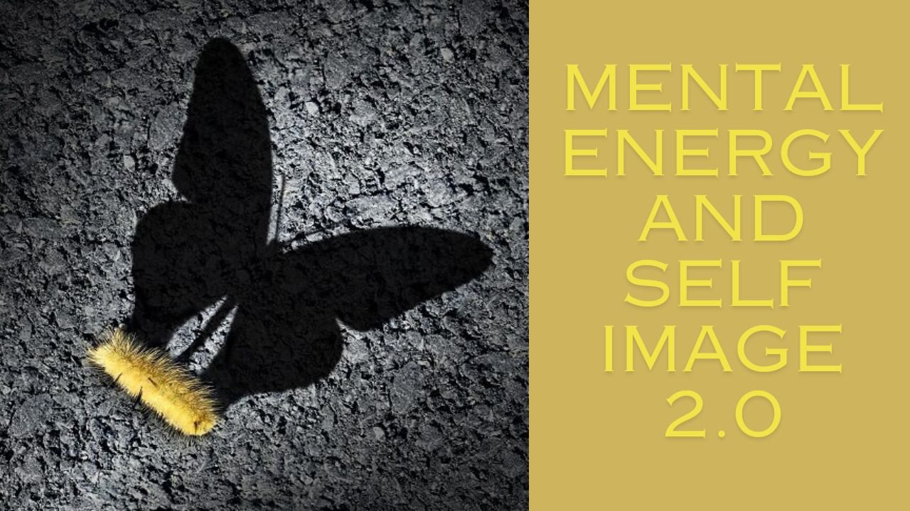 Previous Class Mental Energy and Self Image 2.0 Plant Prana