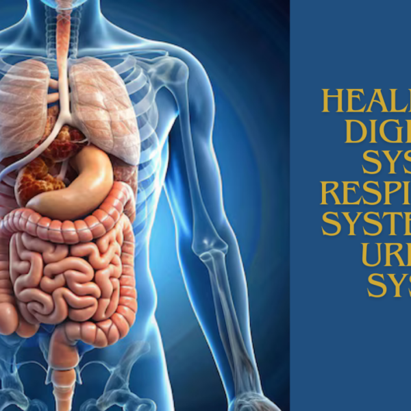 Previous Class: Healing the Digestive System, Respiratory System, and Urinary System