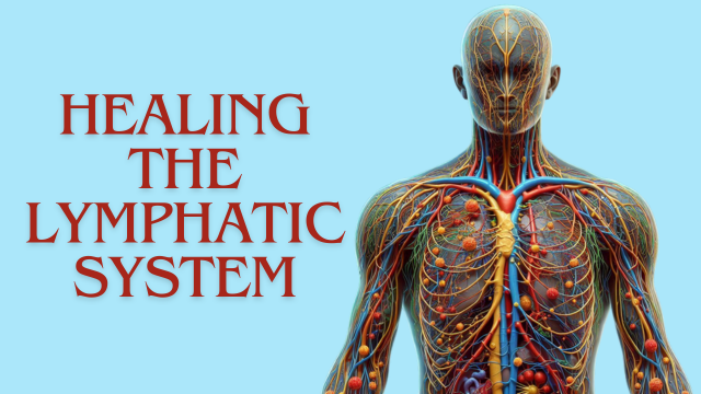 Previous Class: Healing the Lymphatic System