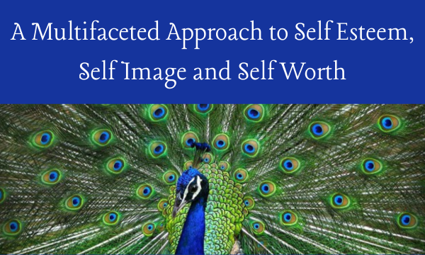Previous Class: A Multifaceted Approach to Self Esteem, Self Image and Self Worth